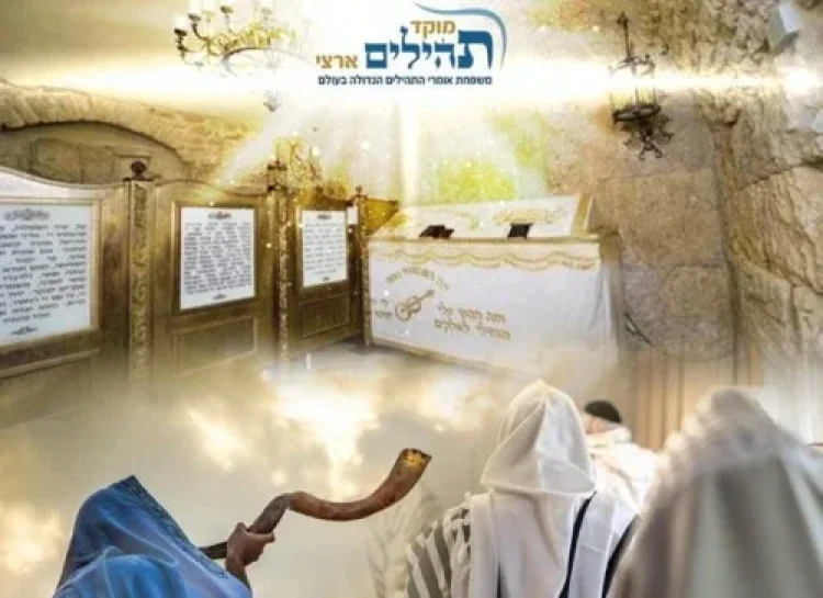 שידור חי שידור חי