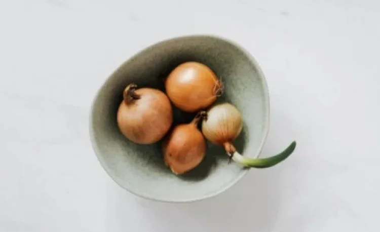 תהילים תהילים