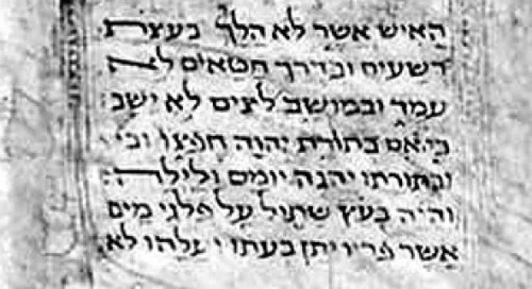 סגולה סגולה