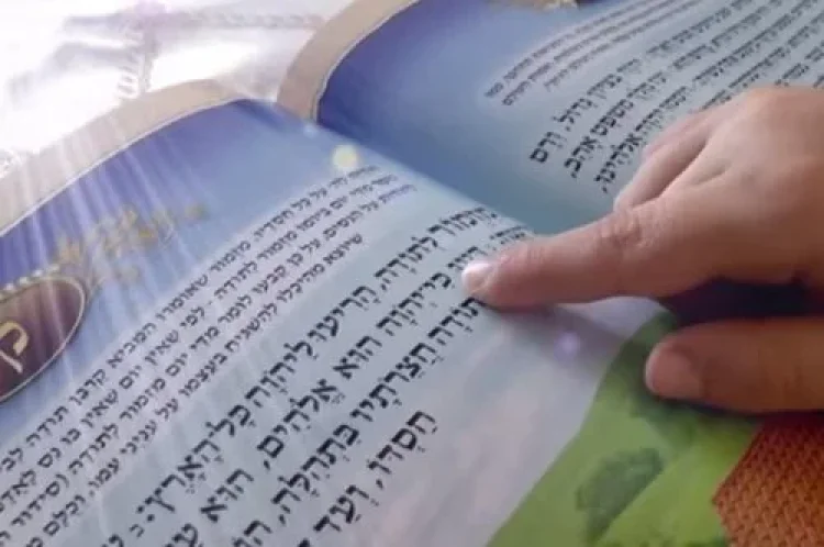 תהילים תהילים