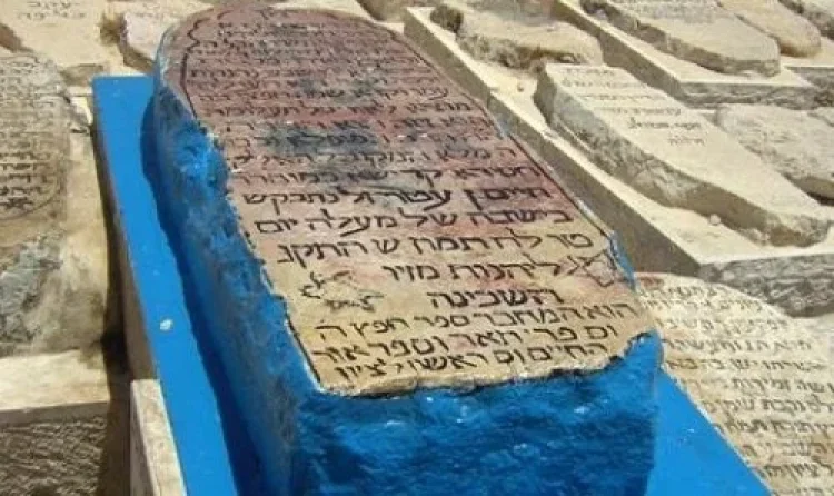 תהילים תהילים