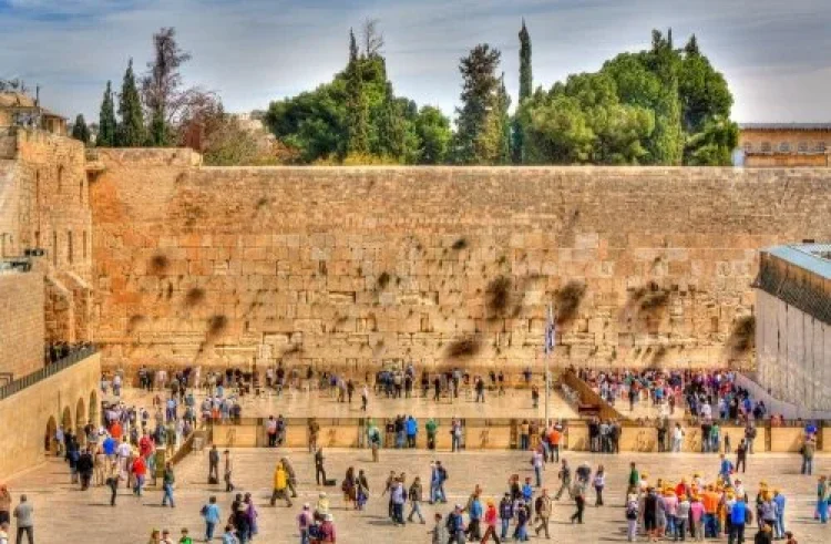 תהילים תהילים