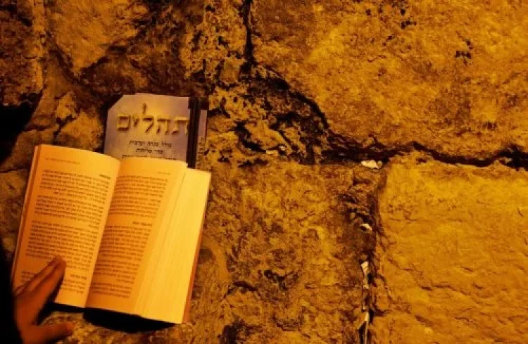 תהילים תהילים