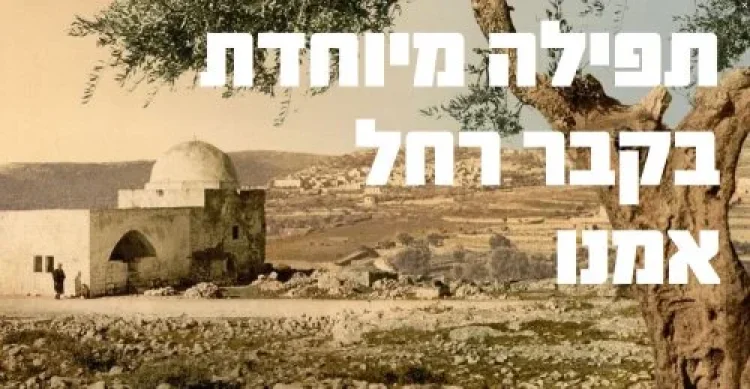 תהילים תהילים