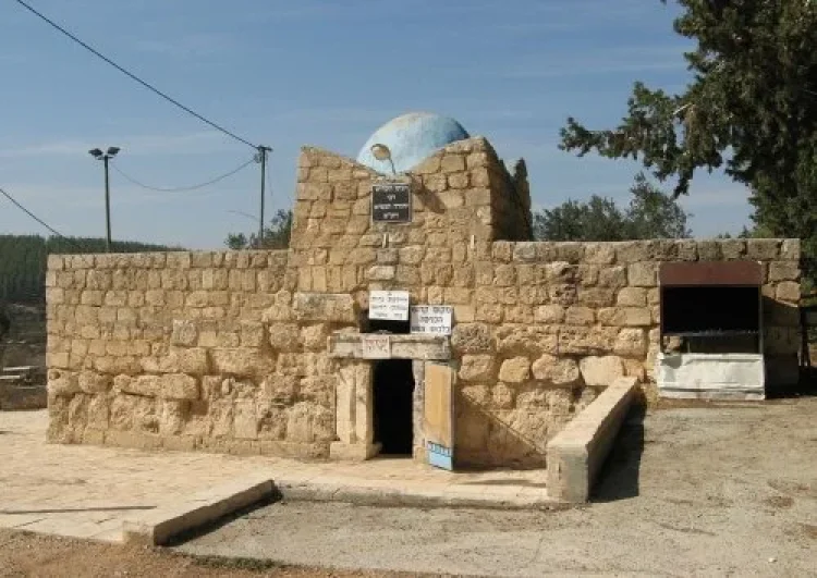 תהילים תהילים