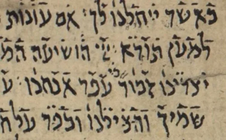 תהילים תהילים