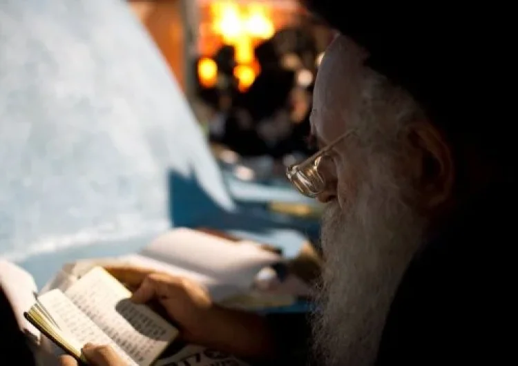 תהילים תהילים