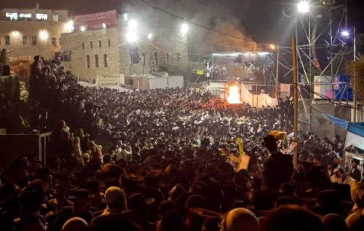 תהילים תהילים