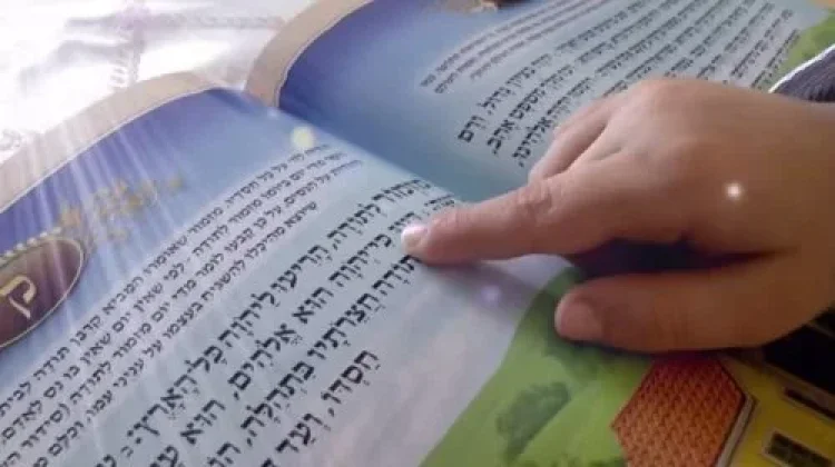 תהילים תהילים