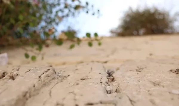 יציאת צום תשעה באב