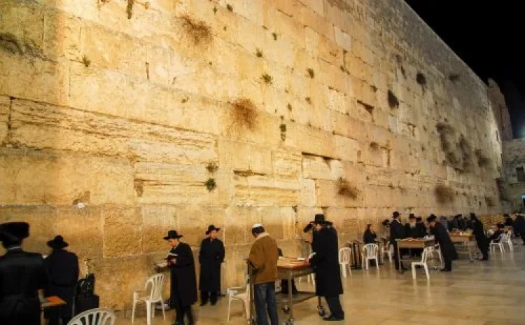 תהילים תהילים