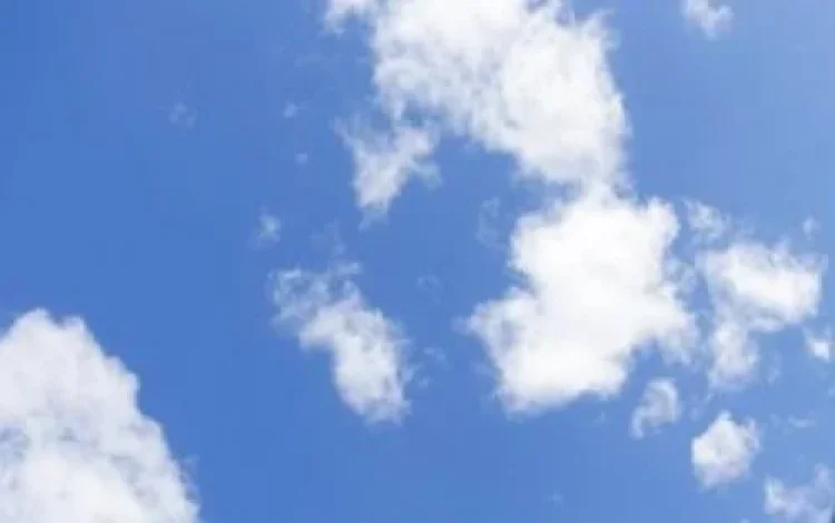 תהילים תהילים