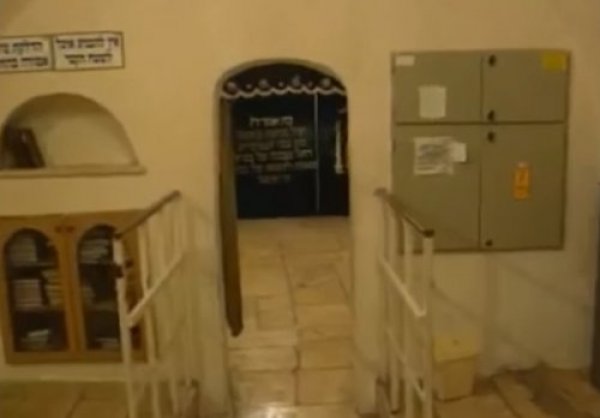 תהילים תהילים