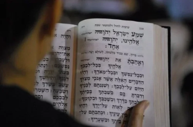 פרנסה פרנסה