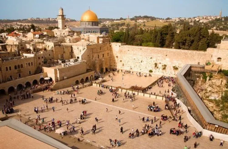 תהילים תהילים
