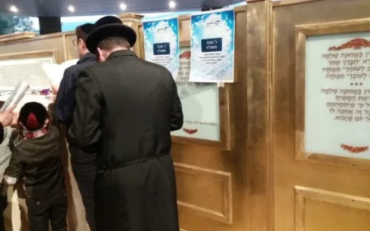 תהילים תהילים
