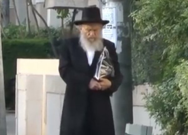 תהילים תהילים