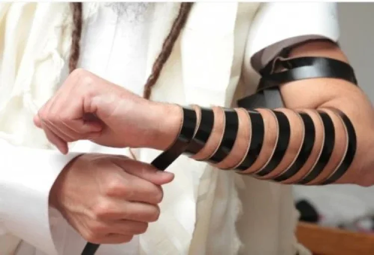 תהילים תהילים
