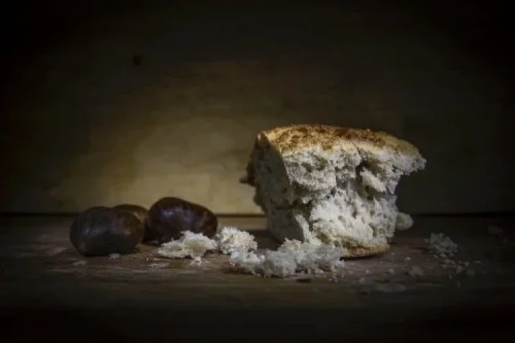 תהילים תהילים