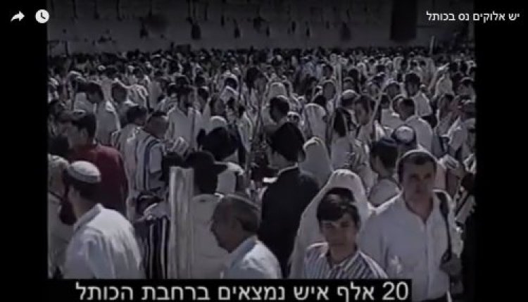 תהילים תהילים