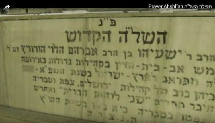 תהילים תהילים