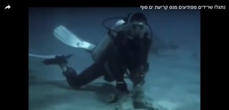תהילים תהילים