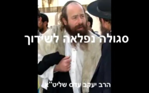 תהילים