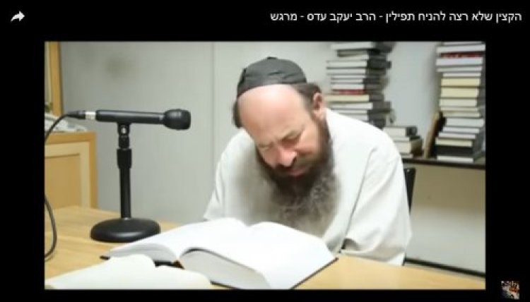 תהילים תהילים