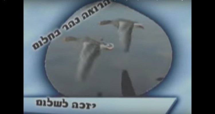 תהילים