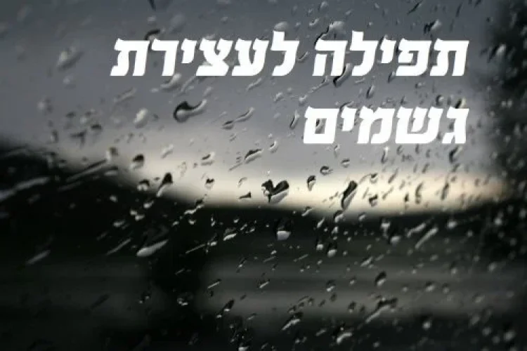 תהילים תהילים