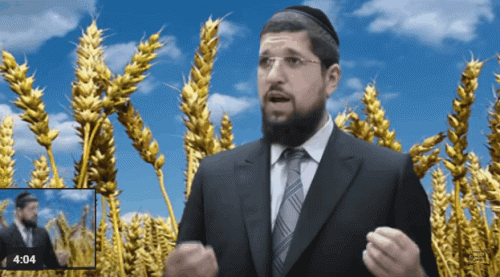 תהילים תהילים