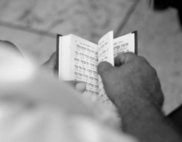 תהילים תהילים