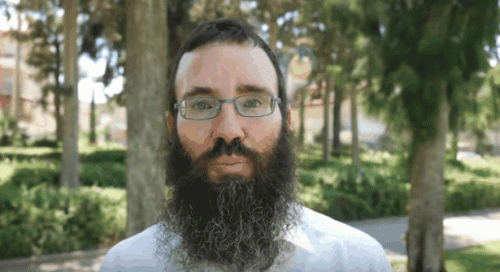 תהילים תהילים