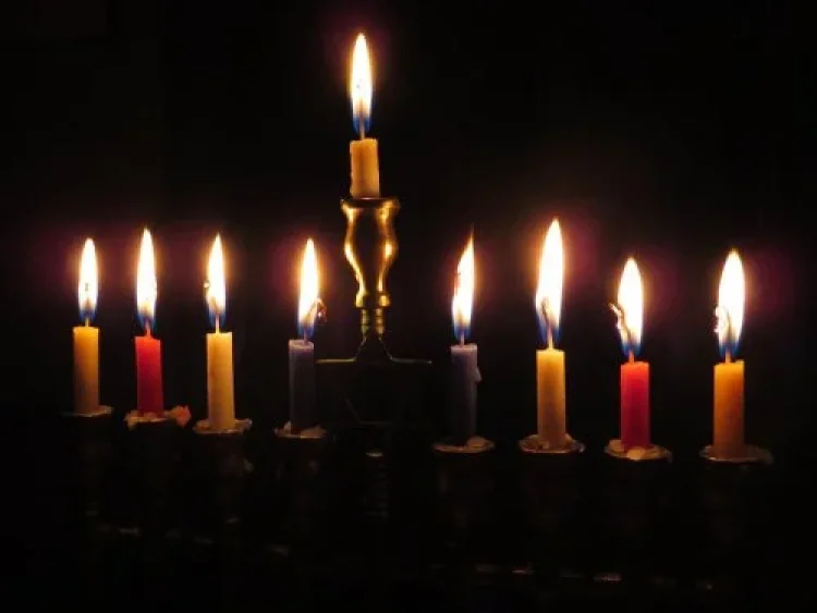 תהילים תהילים