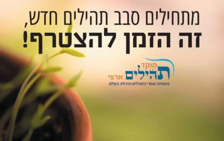 תהילים תהילים