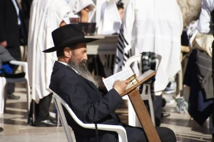סגולה סגולה