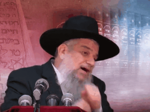 אור החיים אור החיים