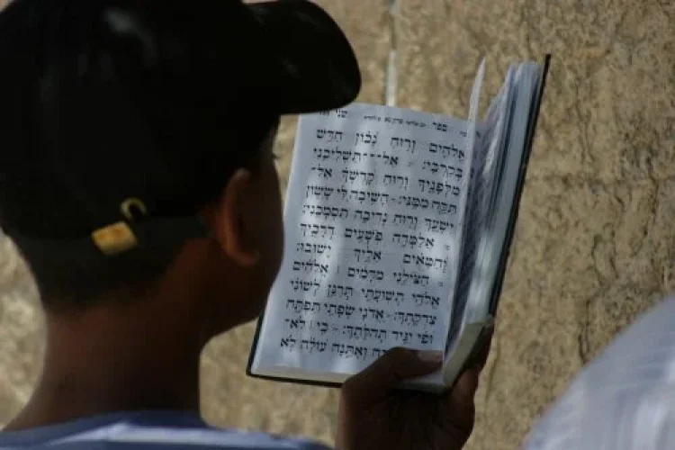 תהילים תהילים