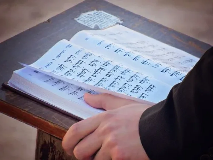 תהילים תהילים