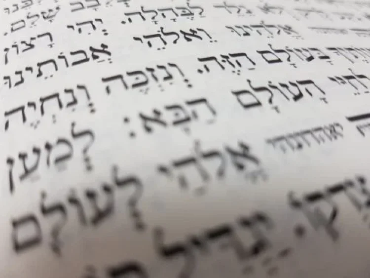 תהילים תהילים