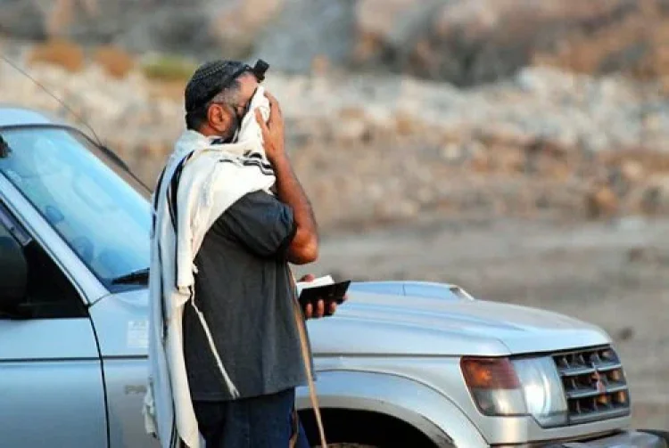 תהילים תהילים