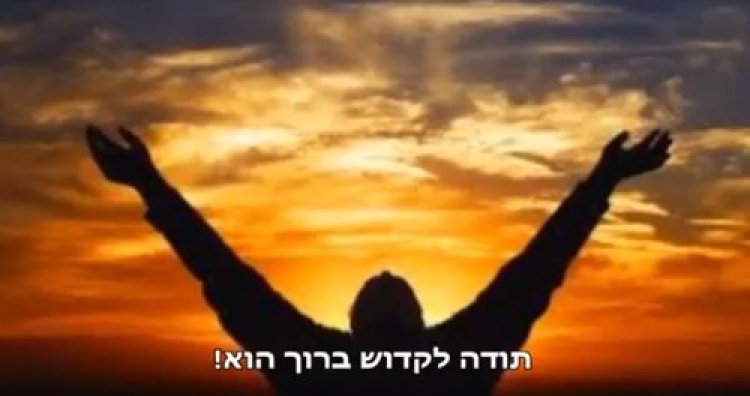 תהילים תהילים