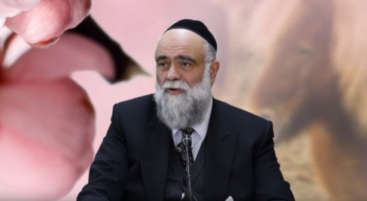 תהילים תהילים