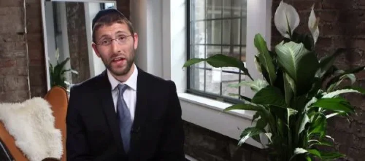 השגחה פרטית השגחה פרטית