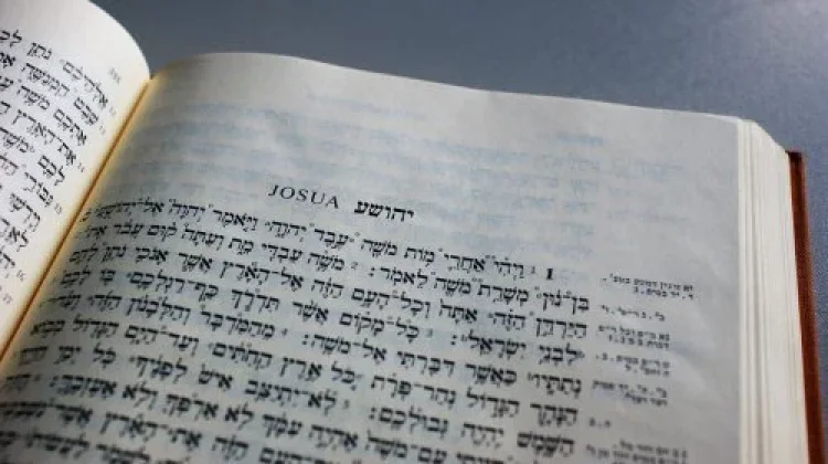 מת מצווה מת מצווה