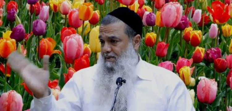 הרב יגאל כהן הרב יגאל כהן
