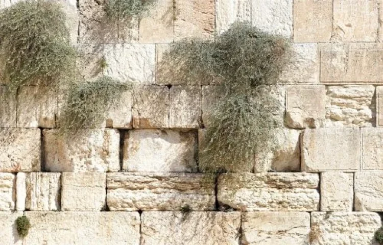ירושלים