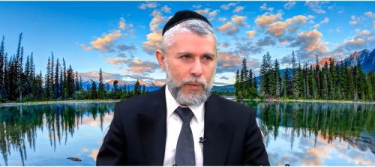 שלוות הנפש שלוות הנפש