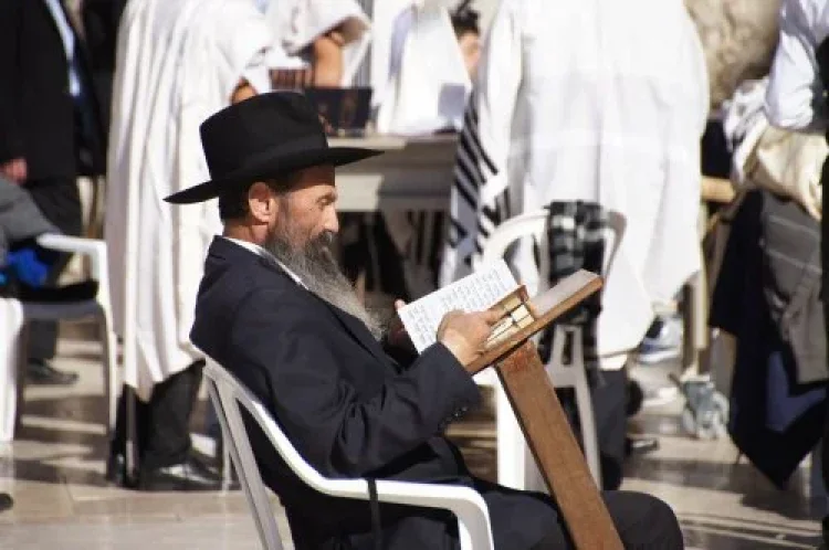 סגולה סגולה