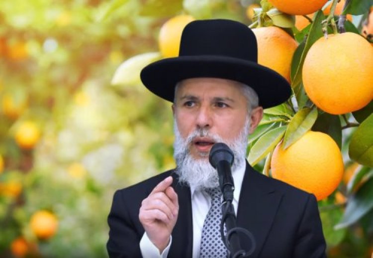 הרב זמיר כהן הרב זמיר כהן